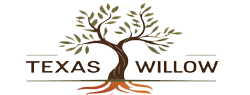 texas willow
